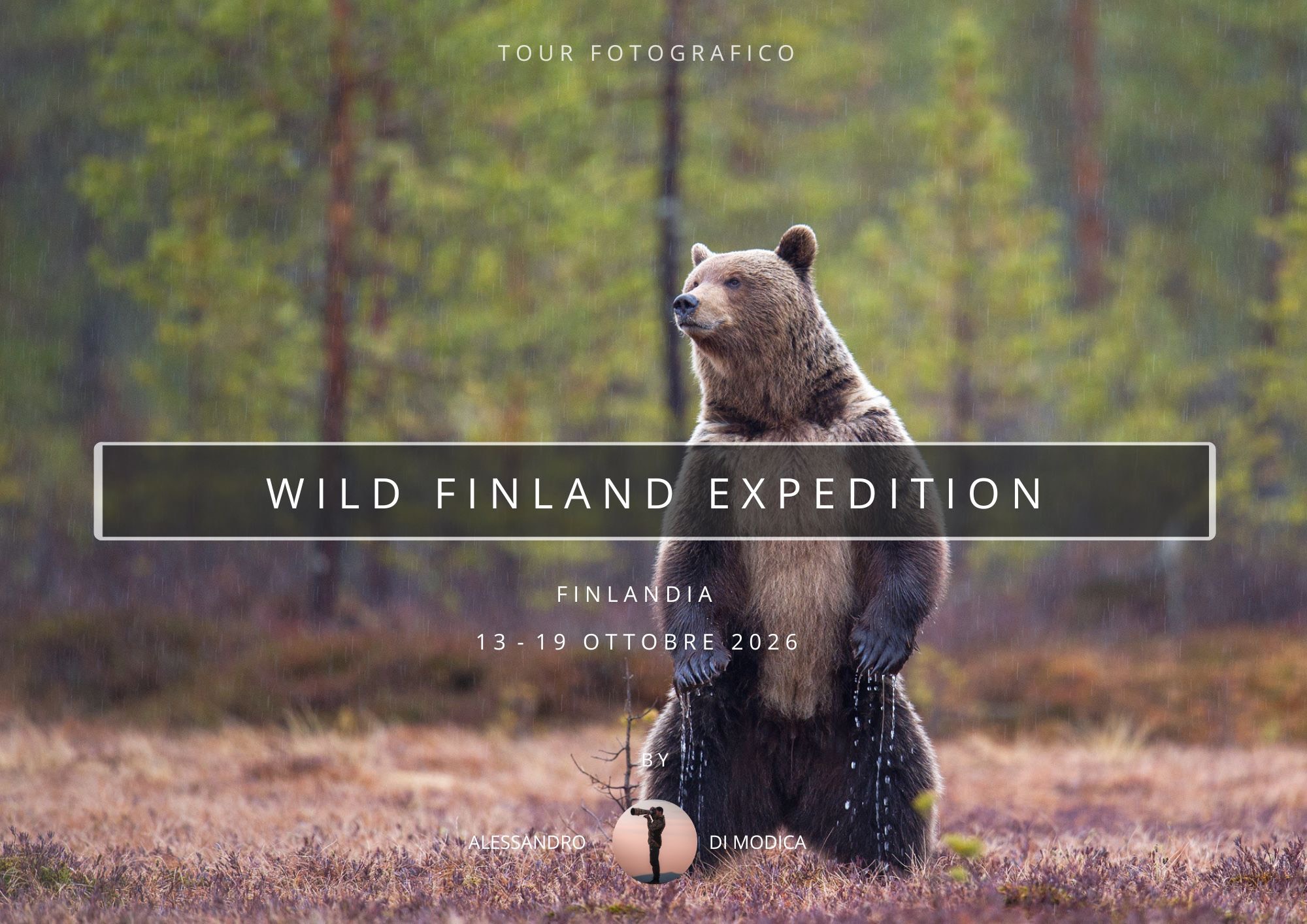 WILD FINLAND EXPEDITION 13-19 OTTOBRE 2026